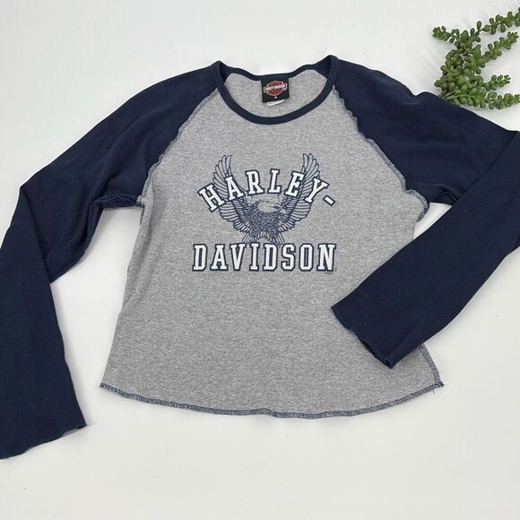 Harley Davidson Motorcycle VTG Long Sleeve Glitter Tee Navy Grey M - Picture 1 of 10